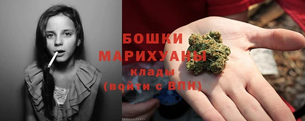 крисы Протвино